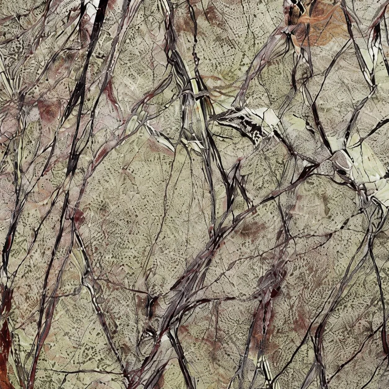 Venature di pietra naturale in primo piano